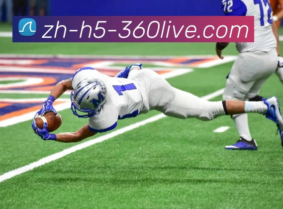 360直播平台生态图